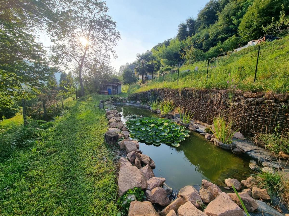 La Nave B&B Monteggio 外观 照片