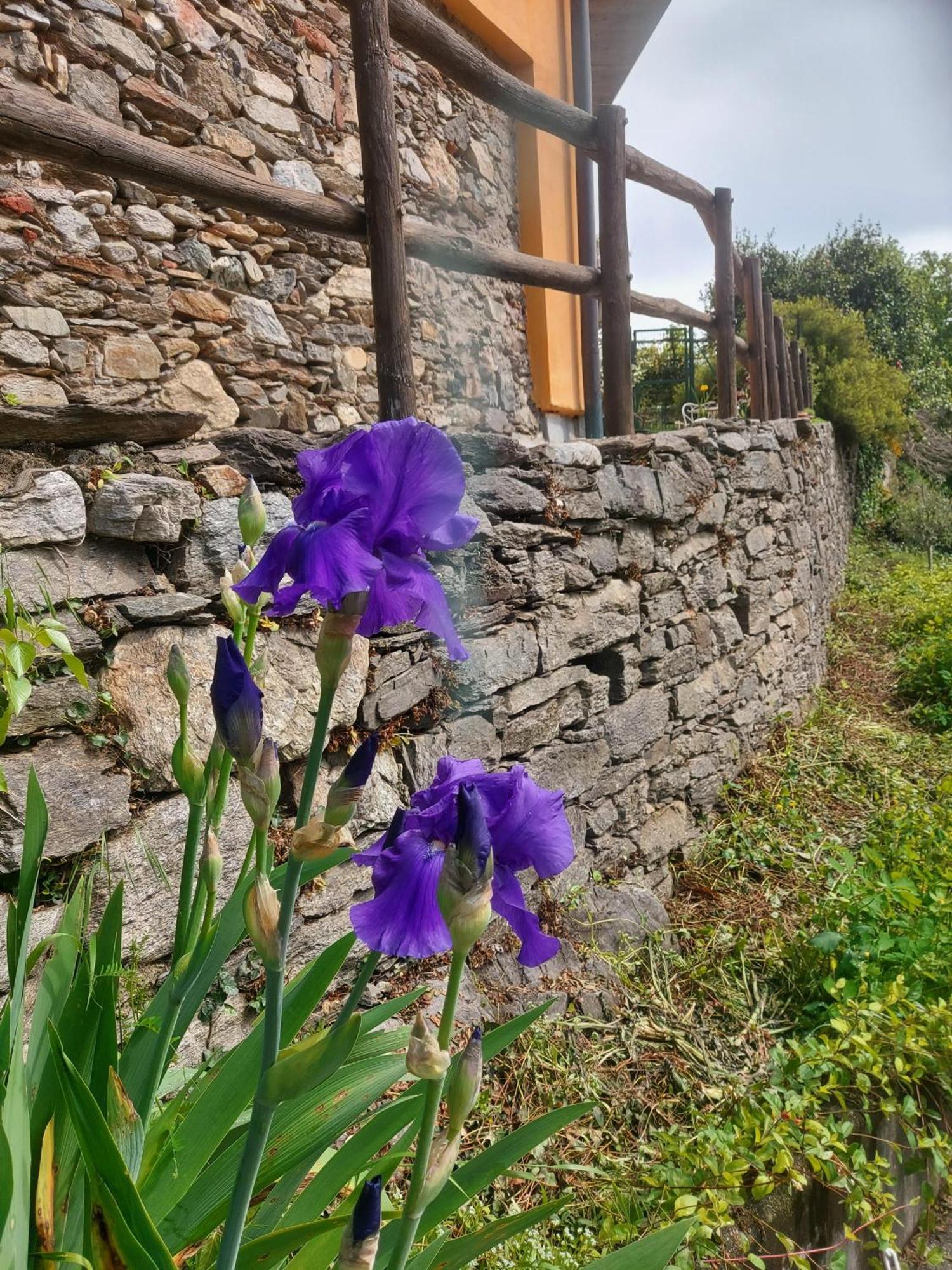 La Nave B&B Monteggio 外观 照片